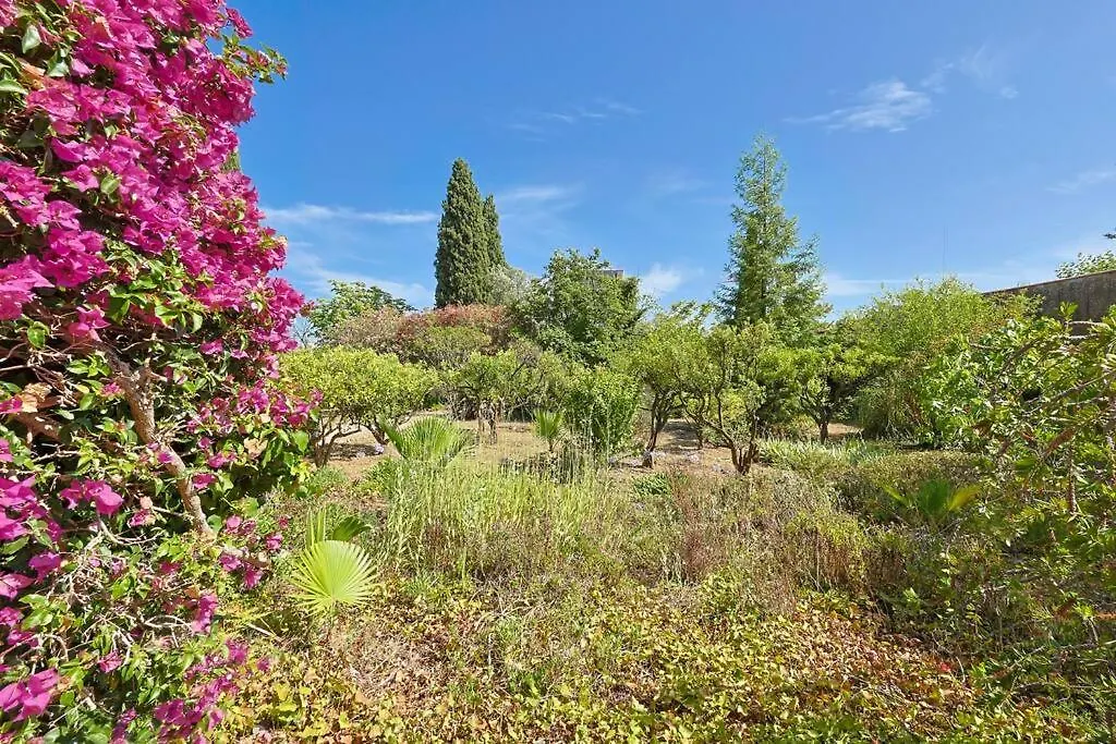 Villa Maison De Maitre Centre Ville Hyères