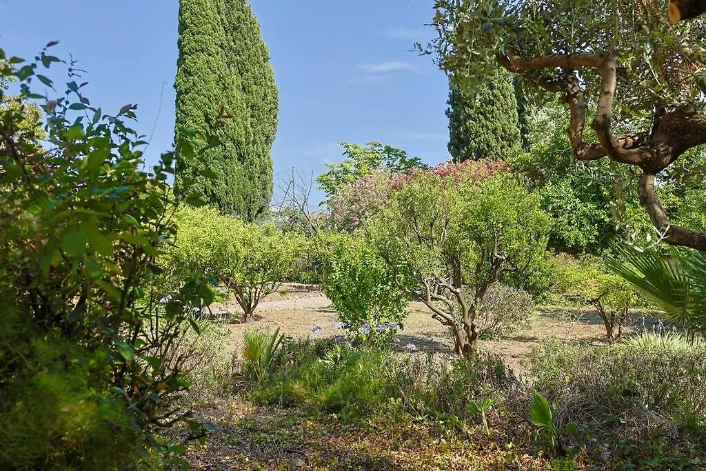 Maison De Maitre Centre Ville Hyères Frankrike